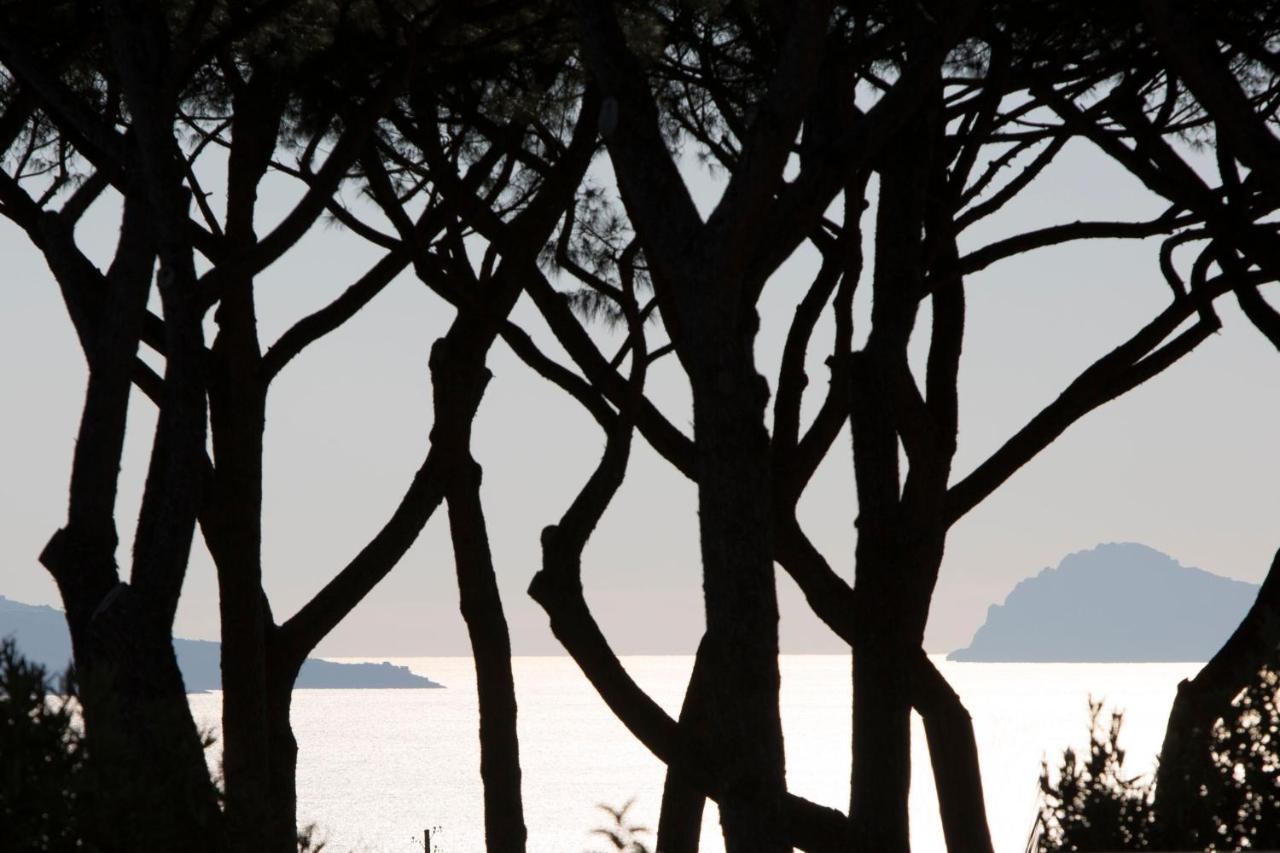 Pachamama Ξενοδοχείο Boscotrecase Εξωτερικό φωτογραφία